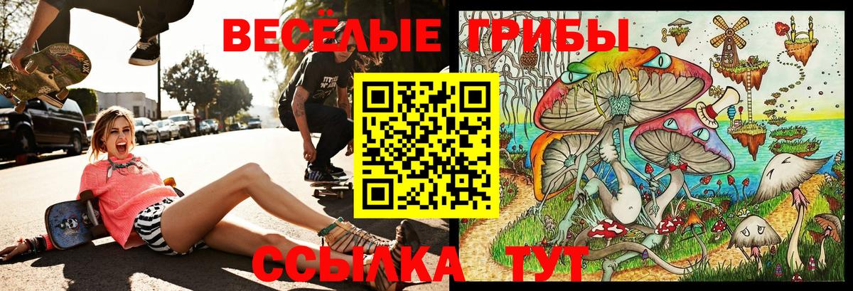 Псилоцибиновые грибы мухоморы Энгельс